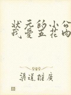 状元的小公主(我爱五花肉)
