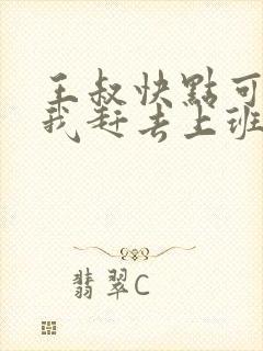 王叔快点可以吗我赶去上班
