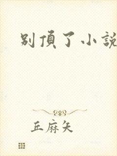 别顶了小说