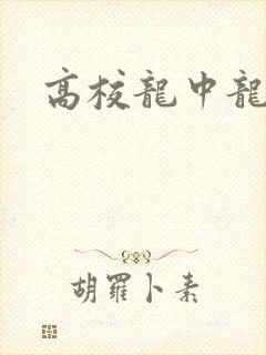高校龙中龙