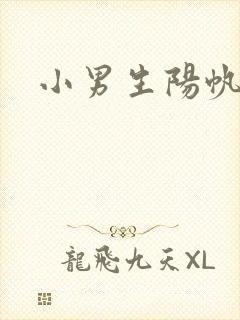 小男生阳帆