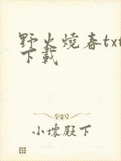 野火烧春txt下载封面