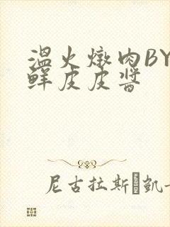 温火炖肉BY海鲜皮皮酱