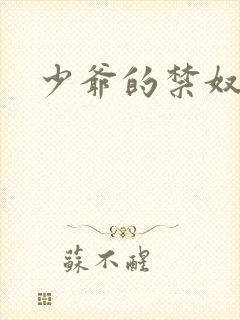 少爷的禁奴