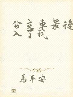 公交车最后一排入了我