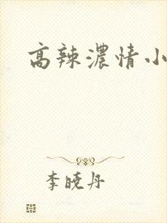 高辣浓情小说