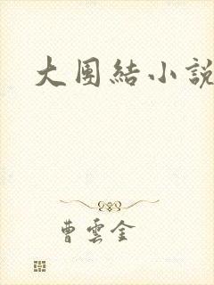 大团结小说全文