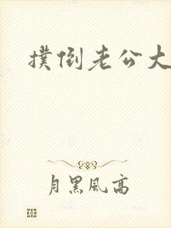 扑倒老公大人封面