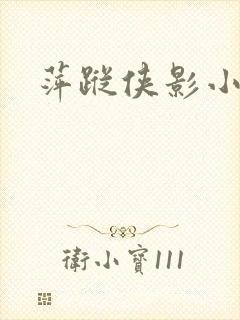 萍踪侠影小说