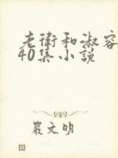 老卫和淑容1-40集小说