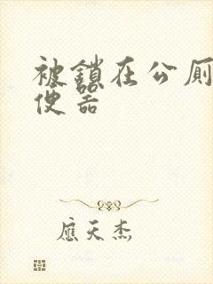 被锁在公厕当坐便器