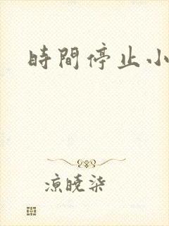 时间停止小说