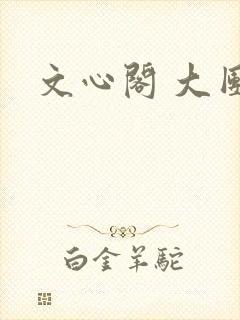 文心阁 大团结封面