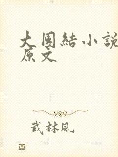大团结小说阅读原文