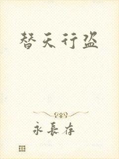 替天行盗