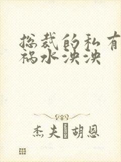 总裁的私有宝贝祸水泱泱