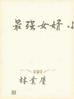 最强女婿 小说