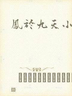 凤于九天小说