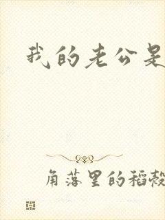 我的老公是军阀