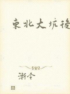 东北大坑后续2
