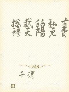 总裁的私有宝贝穆天阳免费