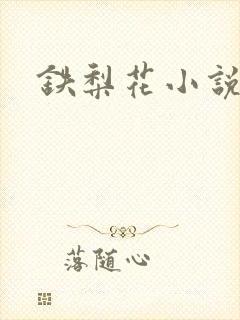 铁梨花小说