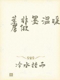 叶非墨温暖在厨房做