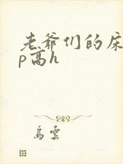 老爷们的床奴np高h