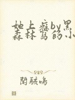 她上瘾by黑暗森林写的小说免费阅读无弹窗