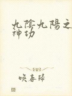 九阴九阳之阴阳神功封面