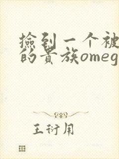捡到一个被抹布的贵族omega封面