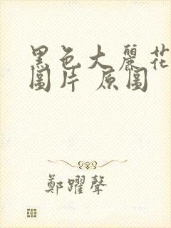 黑色大丽花真实图片 原图