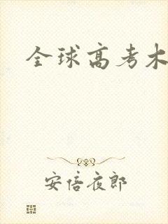 全球高考木苏里封面