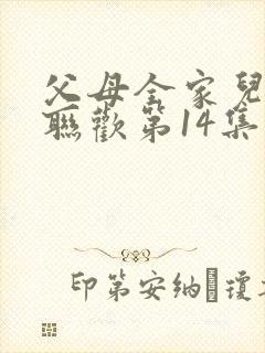 父母全家儿女大联欢第14集封面
