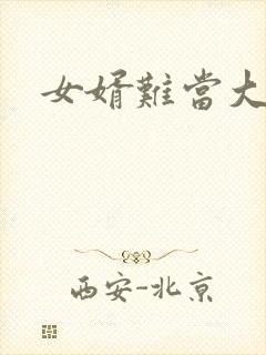 女婿难当大结局封面