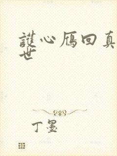 护心雁回真实身世封面