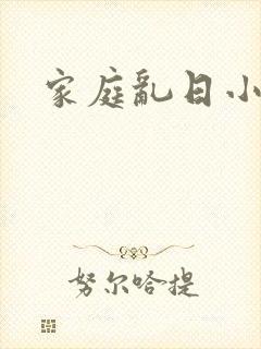 家庭乱日小说封面