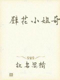 壁花小姐奇遇记封面