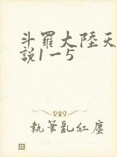 斗罗大陆天狂传说1一5