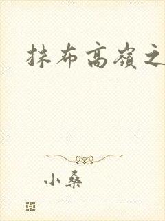 抹布高岭之花封面