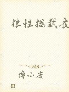 狼性总裁夜欢宠