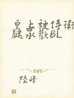 皇上被侍卫抵开腿承欢BL封面