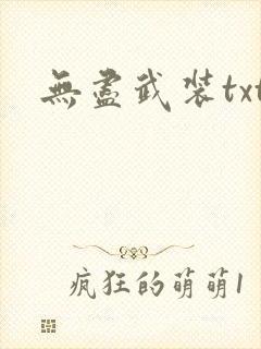 无尽武装txt封面
