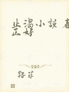 止渴小说 春光正好