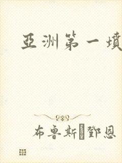 亚洲第一坟封面
