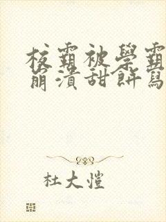 校霸被学霸玩到崩溃甜饼写手封面