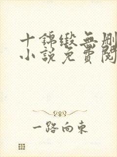 十锦缎无删原著小说免费阅读封面