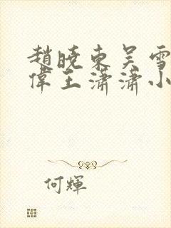 赵晓东吴雪晴郑伟王潇潇小说