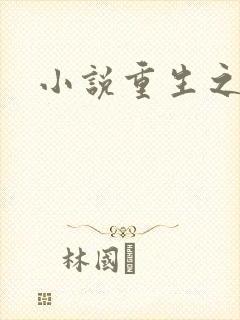 小说重生之官道