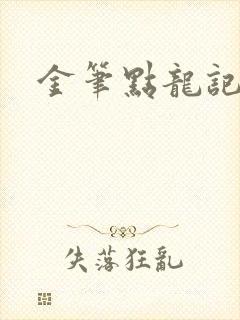 金笔点龙记封面